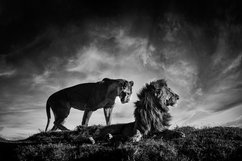 Africa